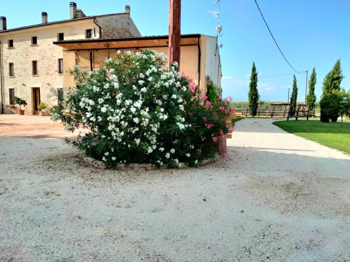 B&B Turistic 7 Castel Goffredo Dış mekan fotoğraf
