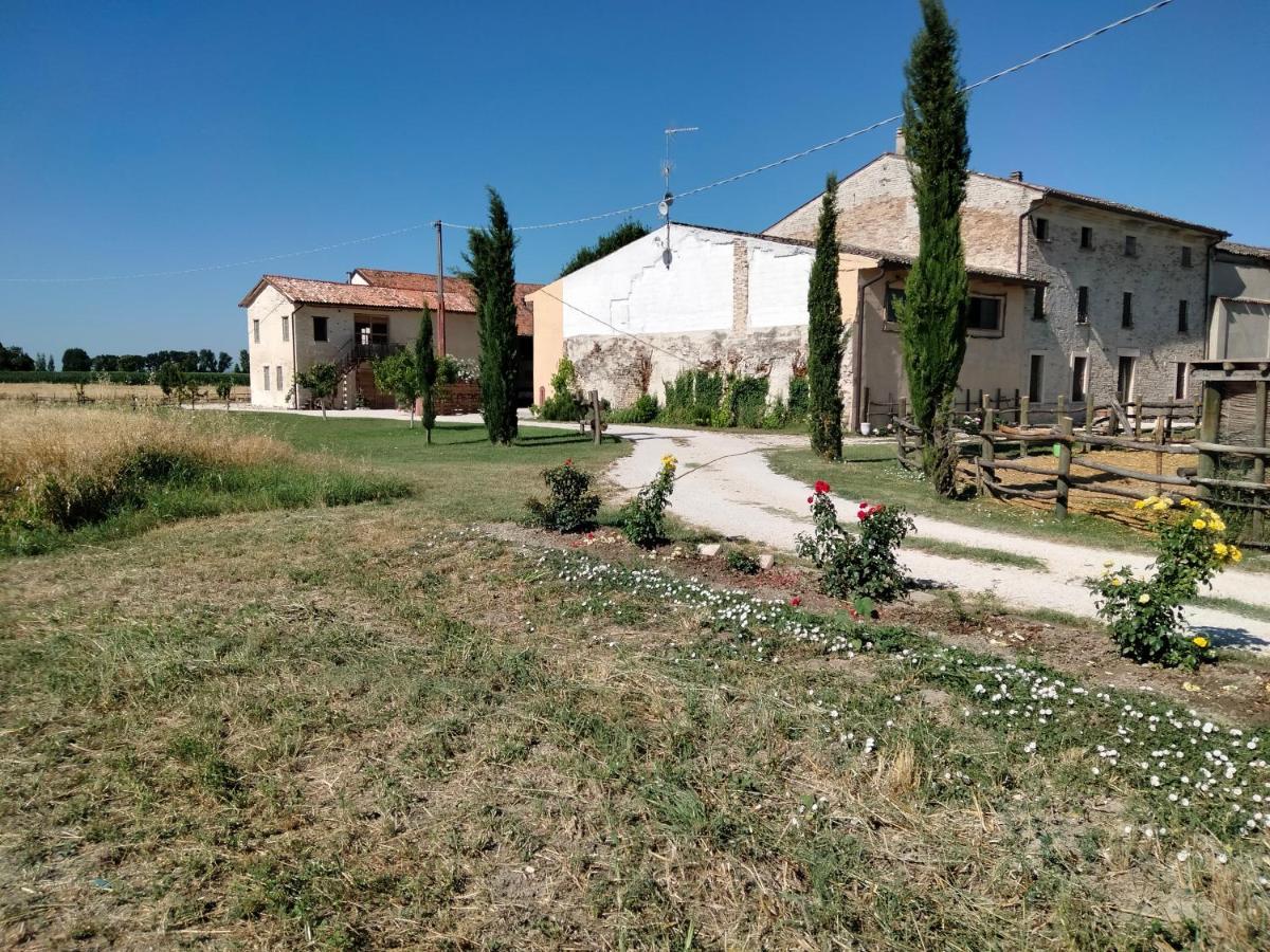 B&B Turistic 7 Castel Goffredo Dış mekan fotoğraf