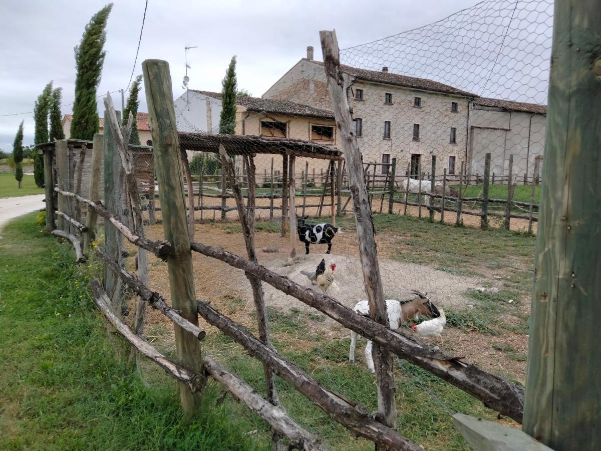 B&B Turistic 7 Castel Goffredo Dış mekan fotoğraf